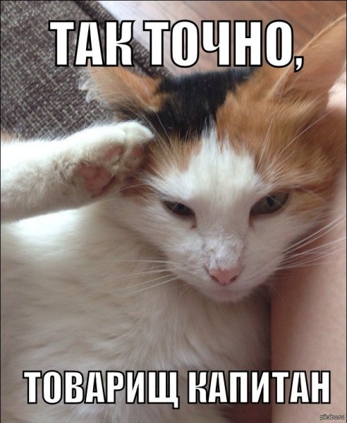 Слушаюсь товарищ командир