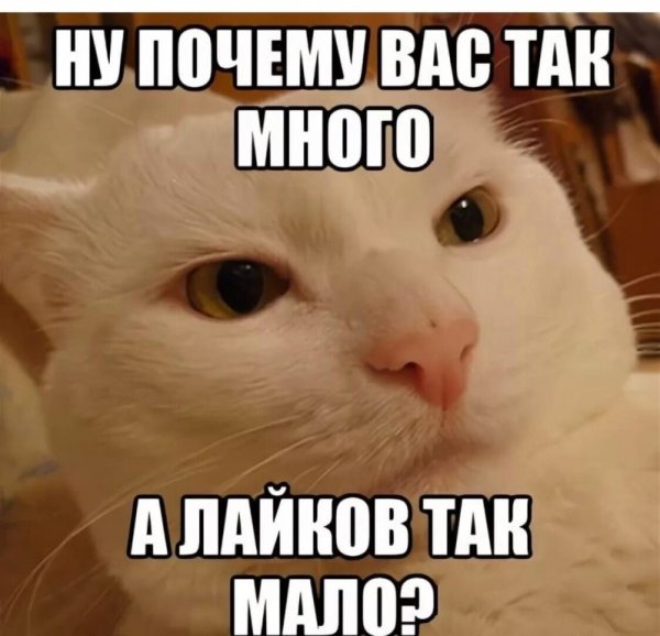 Иди отсюда