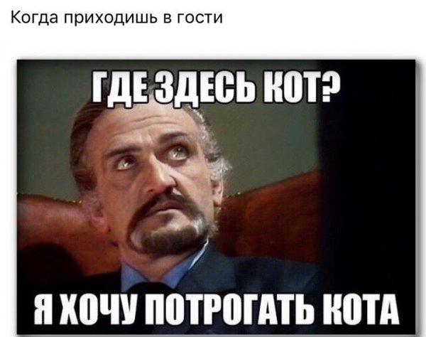 Блять смешные картинки