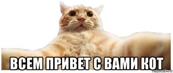 Хей йоу