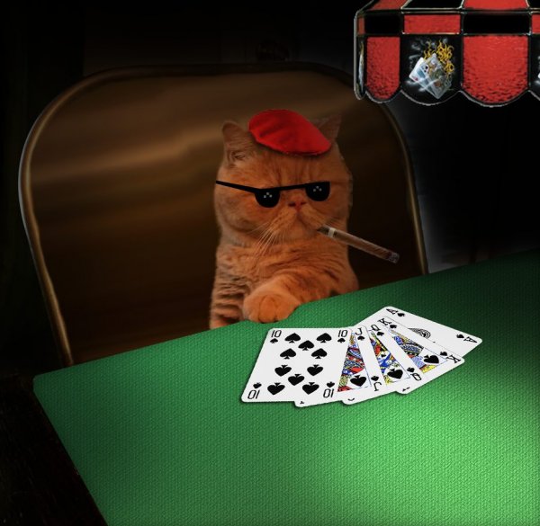 Смешные картинки покер (53 фото)