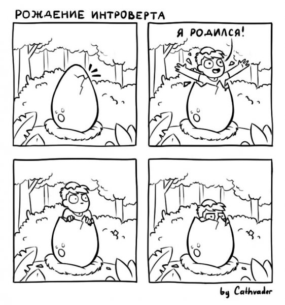 Интроверт Мем
