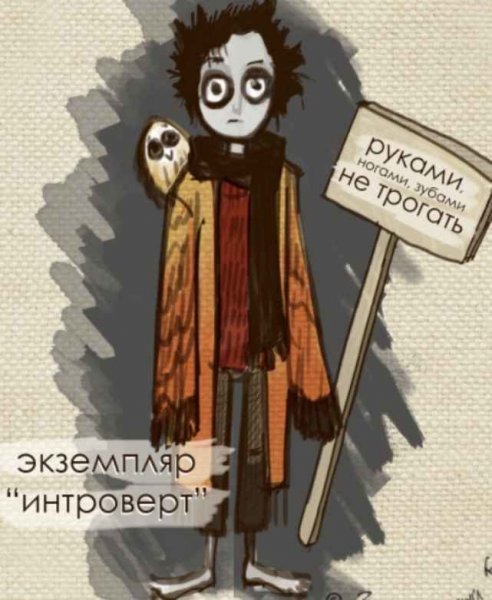 Я интроверт