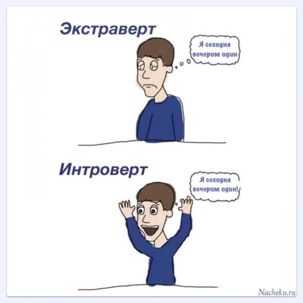 Интроверт и экстраверт
