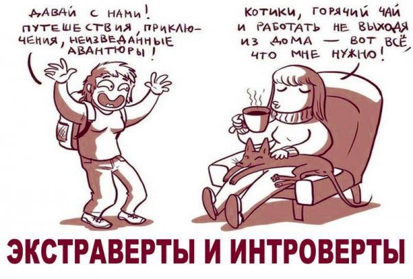 Интроверт и экстраверт картинки