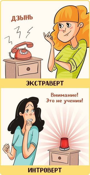 Интроверт и экстраверт