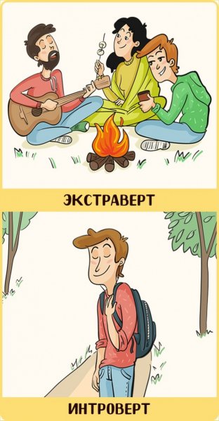 Интроверт и экстраверт