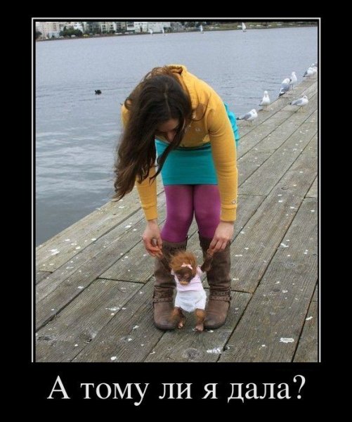 Фотоприколы и демотиваторы