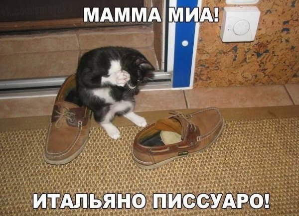 Мама Миа итальяно писсуаро