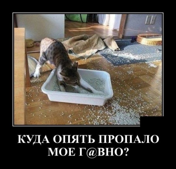 Демотиваторы смешные