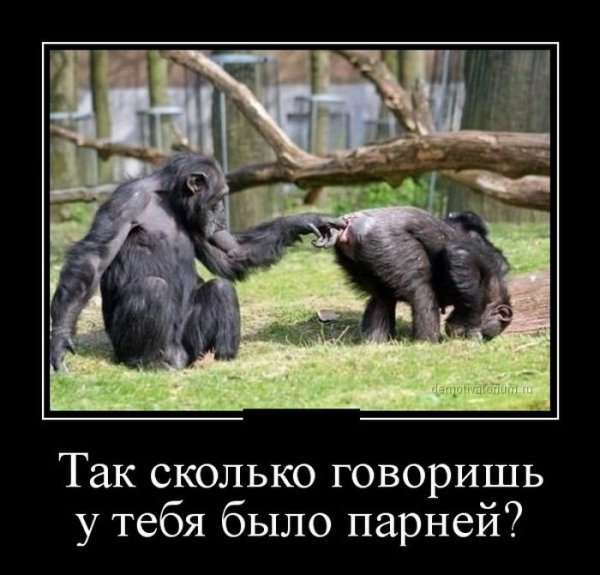 Демотиваторы смешные