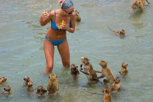 Смешные моменты на пляже