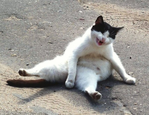 Что нибудь смешное