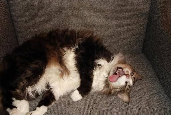 Работник месяца прикол