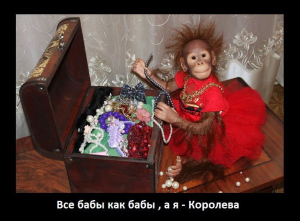 Красавица демотиватор