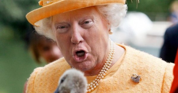 Мем Королева Елизавета Трамп
