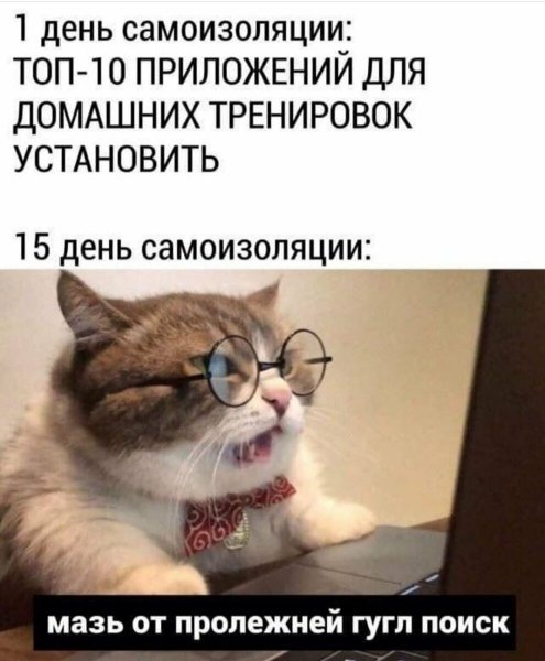 Шутки про самоизоляцию