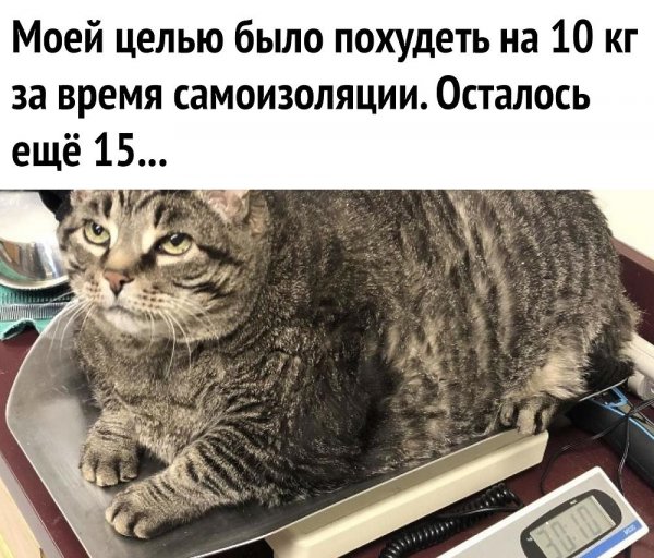 Смешные мемы про коронавирус и карантин