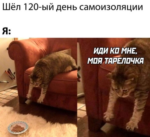 Самоизоляция картинки прикольные