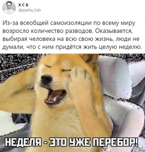 Стишок про карантин смешной