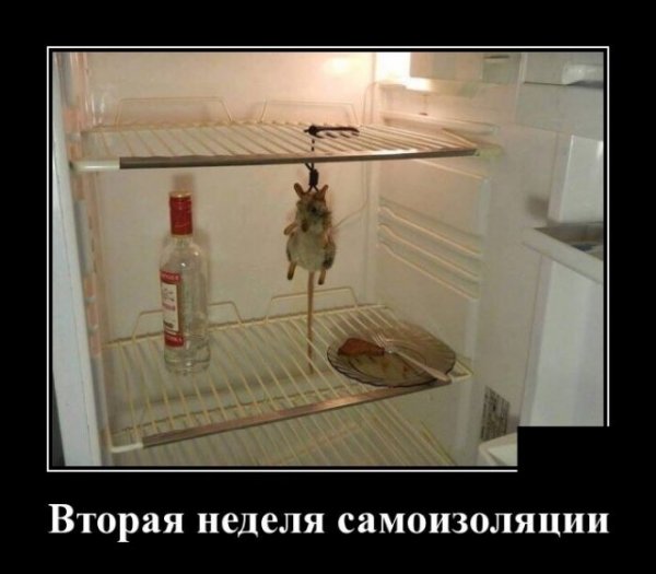 Самоизоляция демотиватор