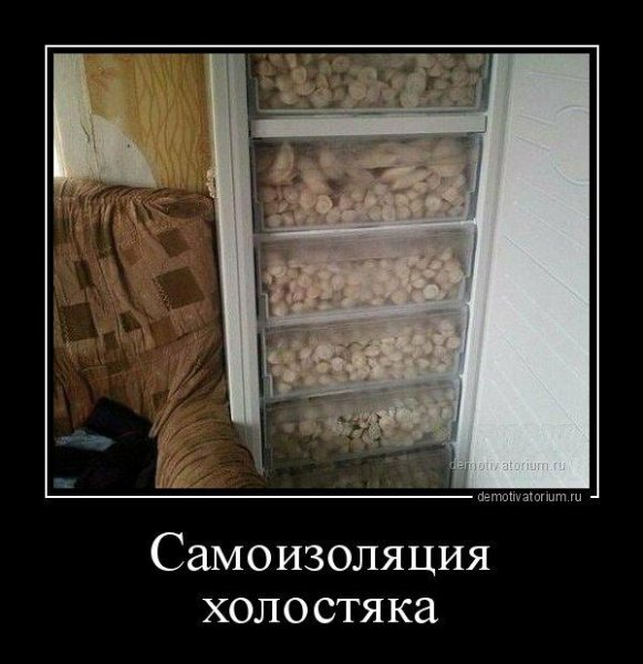 Демотиватор жена уехала