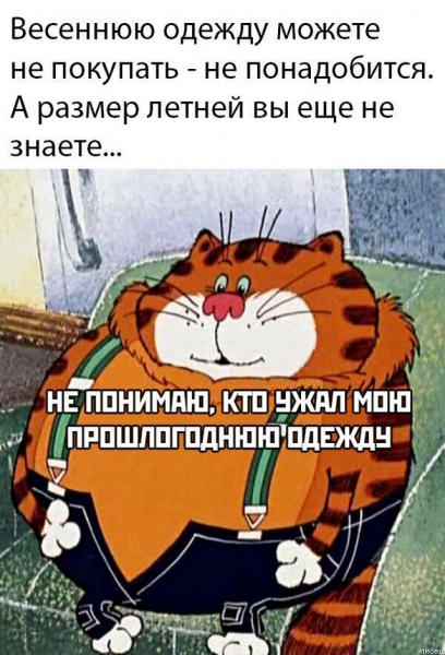 Открытки про самоизоляцию смешные