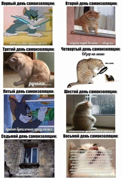 Мемы про коронавирус и самоизоляцию