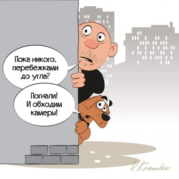 Самоизоляция фото приколы