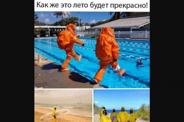 Смешные высказывания про самоизоляцию