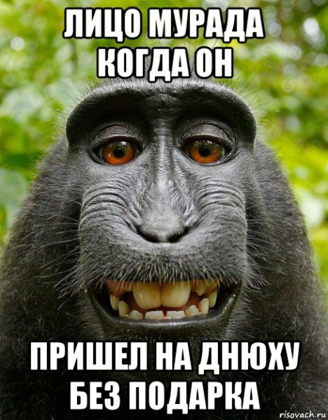 Ромчик Мем