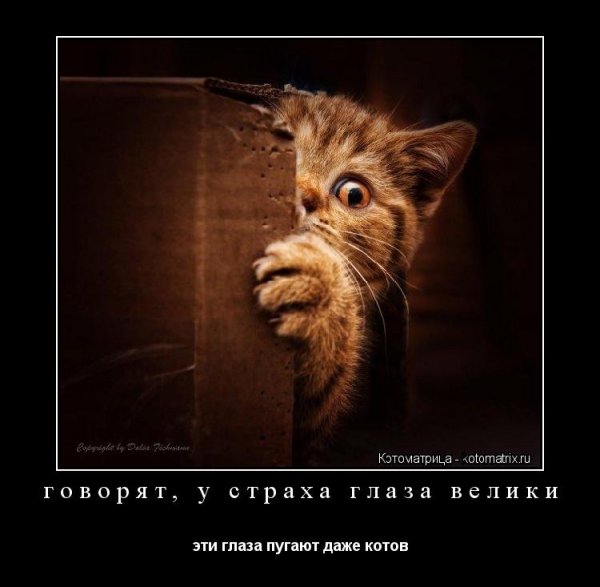 Анекдоты про страх