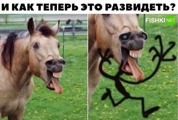 Фишки кэпсы Samurai