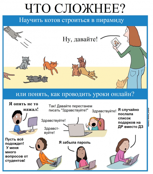 Дистанционное обучение картинки смешные