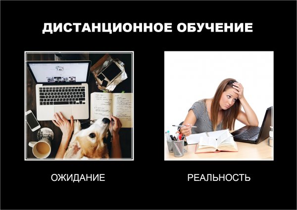 Шутки про Дистанционное обучение