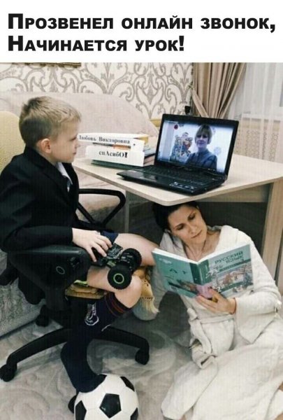 Дистанционное обучение приколы