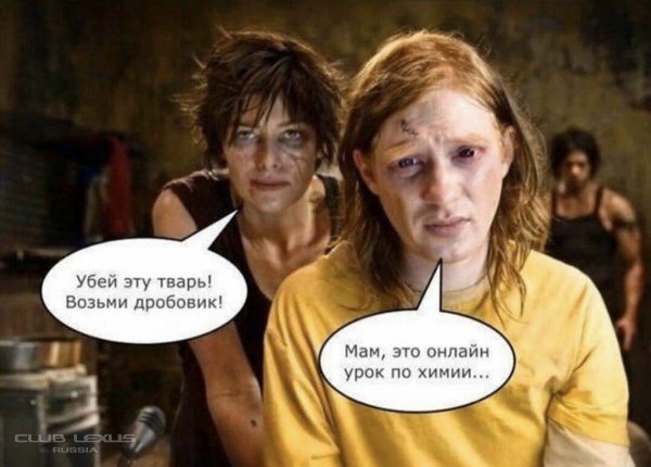 Смешные мемы про Дистанционное обучение
