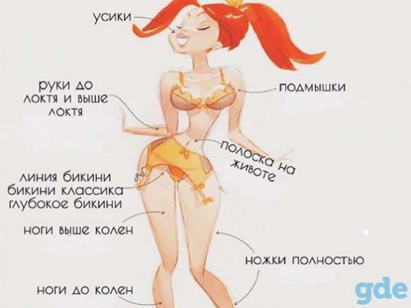 Высказывания про шугаринг