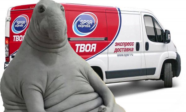 Курьер СПСР