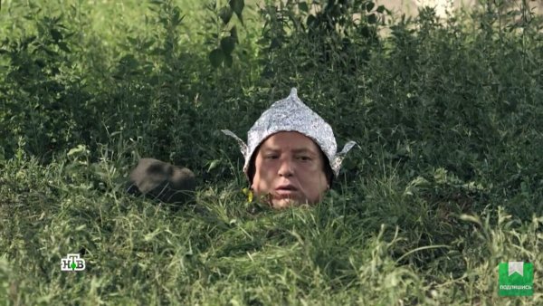 Сериал пёс Капитан Гнездилов