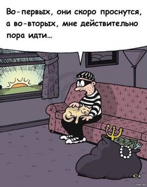 Вор прикол