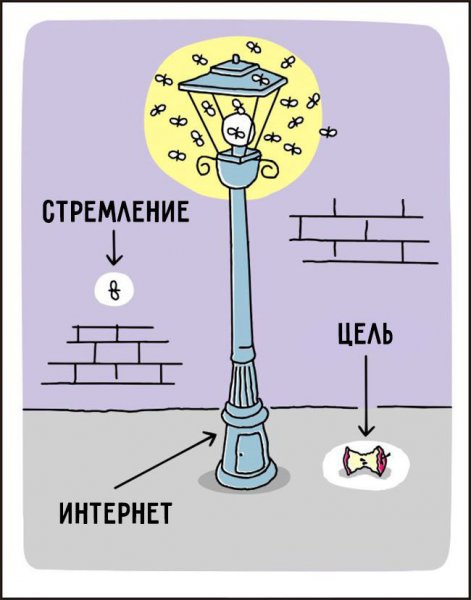 Интеллектуальные шутки