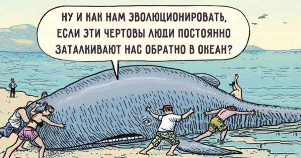 Смешные интеллектуальные шутки