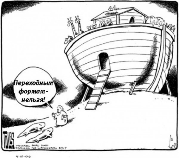 Ученые шутят в картинках