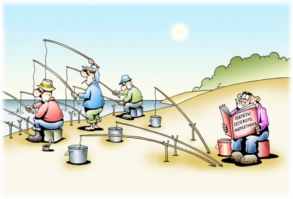 Сетевик карикатура