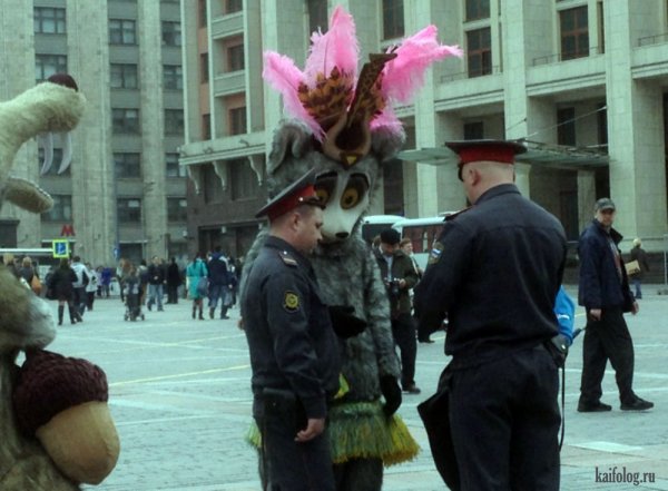Весёлые картинки про Россию