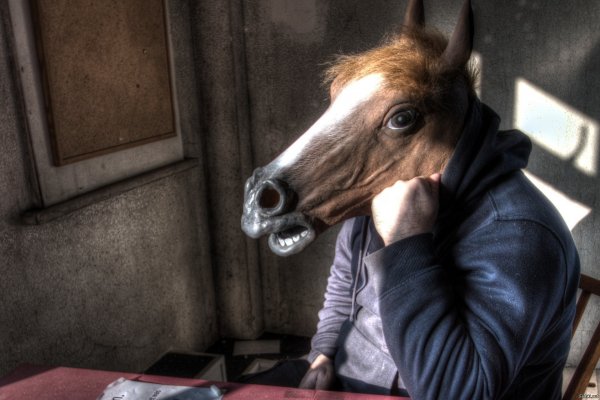 Человек на лошади