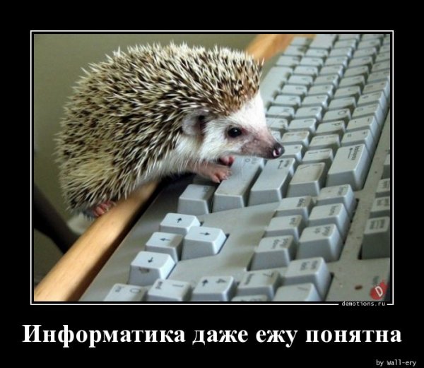 Информатика приколы