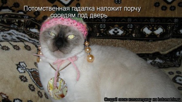 Смешная гадалка