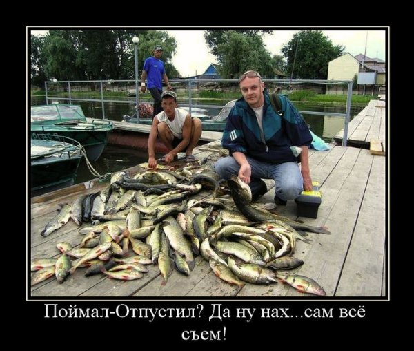 Приколы на рыбалке